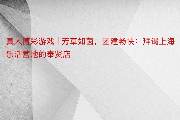 真人博彩游戏 | 芳草如茵，团建畅快：拜谒上海乐活营地的奉贤店
